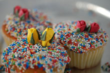 sprinkle heaven cupcakes