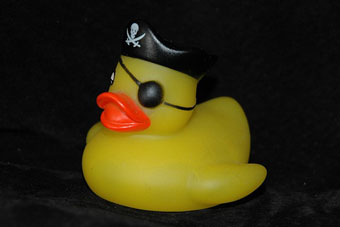 pirate's rubber duck